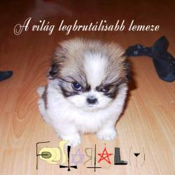 A Világ Legbrutálisabb Lemeze